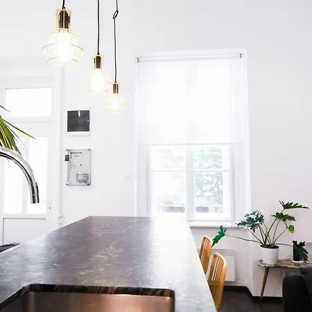 Apartment Design Loft Kiraly