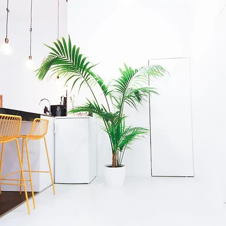 Design Loft Kiraly Apartment